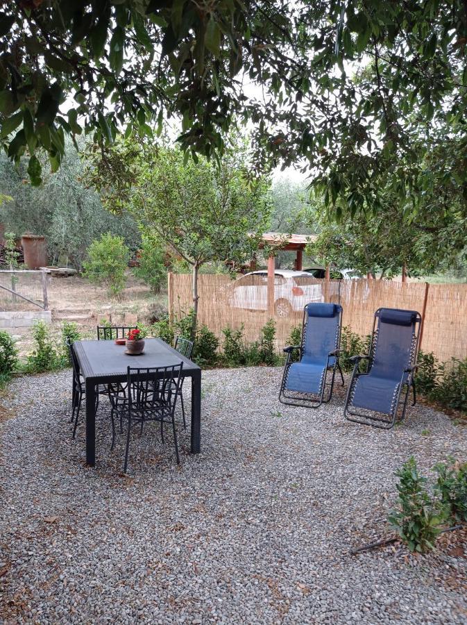 Agriturismo San Giorgino Гроссето Номер фото